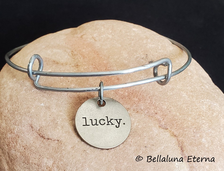 Stainless Steel Lucky Charm Bracelet