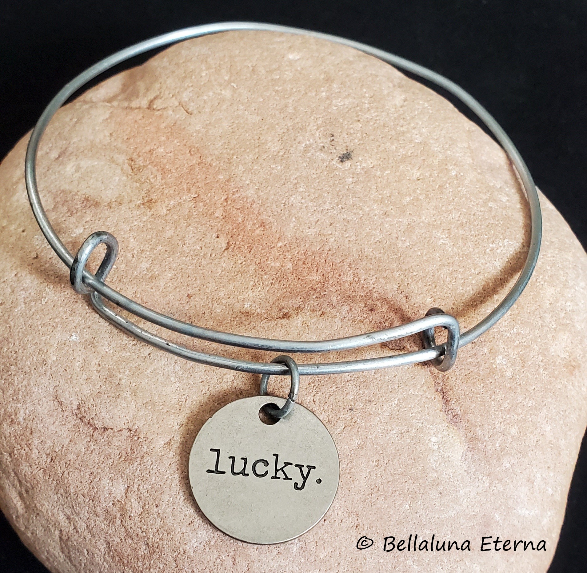 Stainless Steel Lucky Charm Bracelet